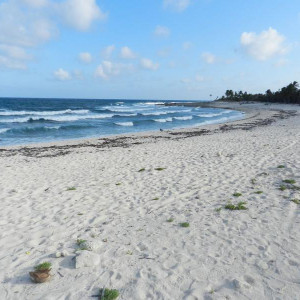 Praia alternativa do Sirenis