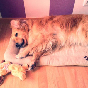 princesa