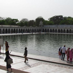IMG 0280