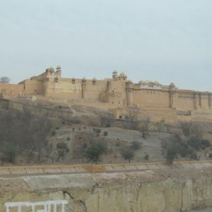 IMG_0769.JPG