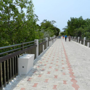 DSCN2691