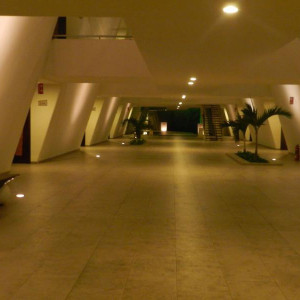DSCN3320