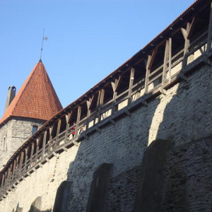 2Hellemanni Torn 2   Tallin
