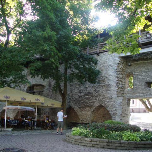2Taani Kuninga Aed (Jardim do Rei) 1 - Tallinn.JPG
