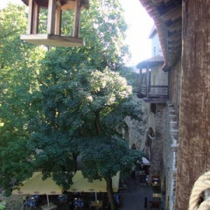 2Taani Kuninga Aed (Jardim do Rei) 2 - Tallinn.JPG