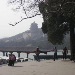 IMGP0113