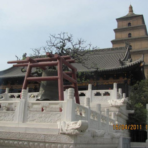 IMG_1956.JPG