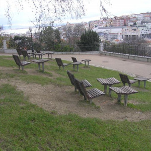 p1010164