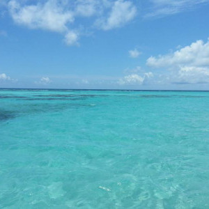 20130504_133318_zps16ad4824.jpg