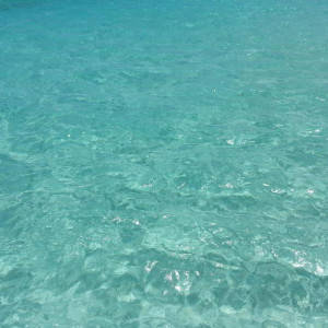 20130504_133824_zps3d7f7289.jpg