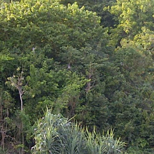 IMG 20130604 00234