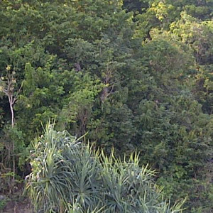 IMG 20130604 00233