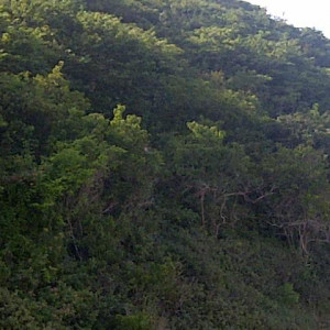 IMG 20130604 00230