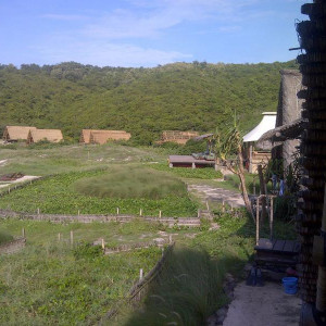 IMG 20130604 00229