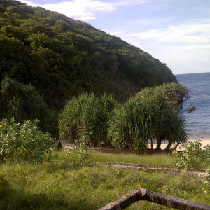 IMG 20130604 00228
