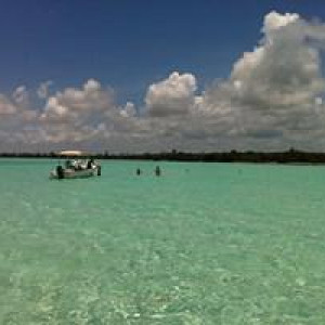 IMG 1360 (Cópia)