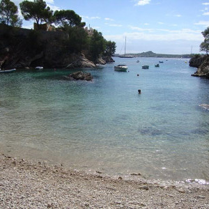 DSC03413 (Cópia)