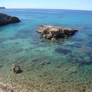 DSC03761 (Cópia).JPG