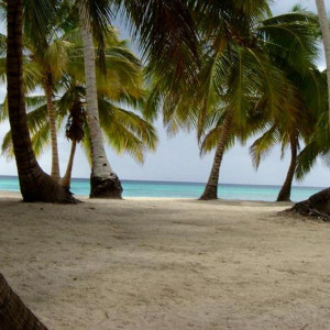 ilha soana