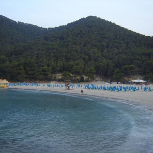 Sirenis Cala Llonga Resort