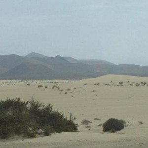 Corralejo