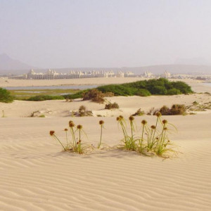 Boavista