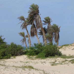 praia