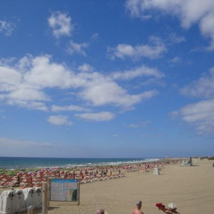 praia ingleses