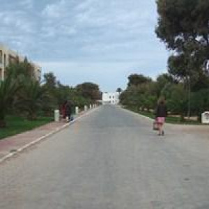 DSCF0730 (Cópia)