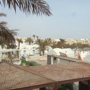 DSCF0875 (Cópia)
