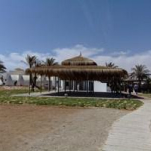 DSCF5251 (Cópia)