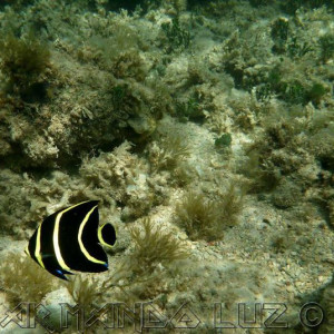Jamaica2013 03