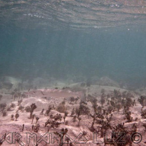Jamaica2013 05