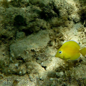 Jamaica2013 12
