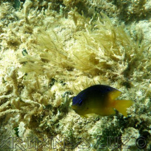 Jamaica2013 15