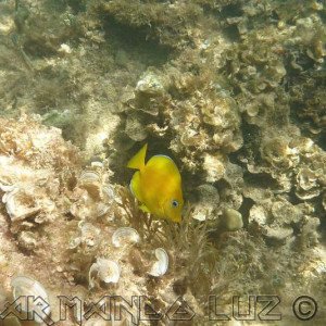 Jamaica2013 17