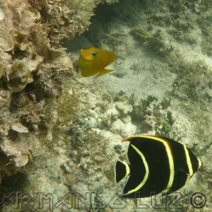Jamaica2013 18