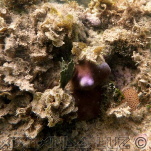 Jamaica2013 25
