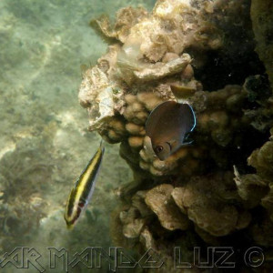 Jamaica2013 26