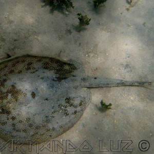 Jamaica2013 27