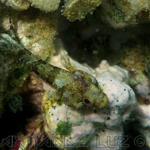 Jamaica2013 28