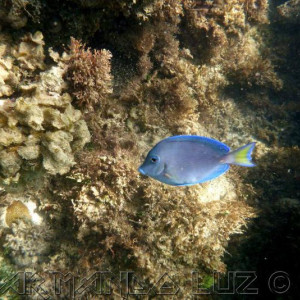Jamaica2013 29