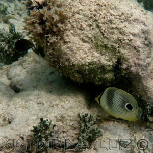 Jamaica2013 30