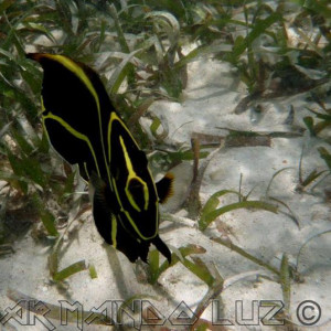 Jamaica2013 31