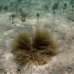 Jamaica2013 38