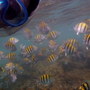 Jamaica2013_42.jpg