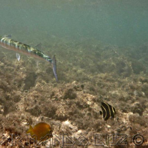 Jamaica2013_44.jpg
