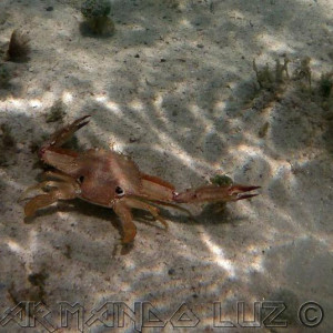 Jamaica2013_46.jpg