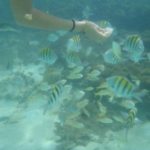 Snorkling1