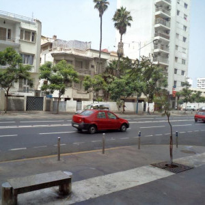 DSC0010